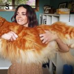 The 10 Largest Domestic Cat Breeds for Those Who Want to Be Pinned to the Sofa by a Purring Tractor