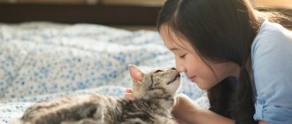 7 reasons why a cat licks its head and hair