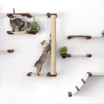 (82 photos) How to make a scratching post for cats with your own hands