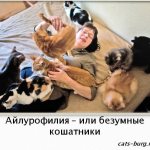 ailurophilia - or crazy cat people