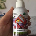 Antigadin for cats, composition and comparison of sprays: which one helps better, how to make it yourself?