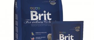 Корм для кошек Brit отзывы