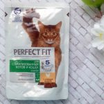Perfect Fit cat food – what class, what does it contain, is it harmful to animals?