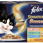 Felix Sensations cat food