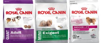 Royal Canin dog food
