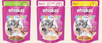 Whiskas food for kittens