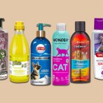 The best shampoos for cats