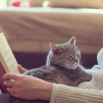 People who love cats. Psychology of cats read the article 