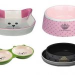 Cat bowl - how to choose the right cat bowl?