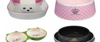 Cat bowl - how to choose the right cat bowl?
