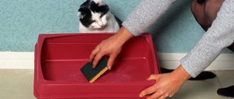 Washing the cat&#39;s litter box