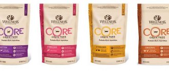 Wellness Core dry food review