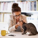 Do cats understand human speech?