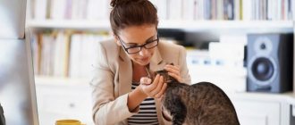 Do cats understand human speech?