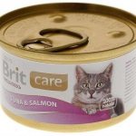 rating of cat food dry wet canned