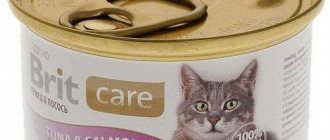 rating of cat food dry wet canned
