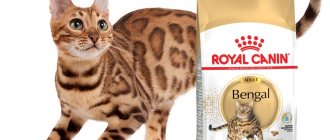 Royal Canin for cats - features of wet and dry food intended for different animals