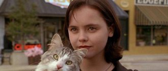Топ-10 лучших фильмов про кошек для семейного просмотра 1
