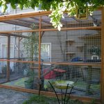 aviary for cats in the country