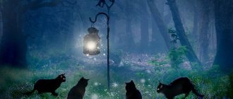 Встреча кошек под фонарем